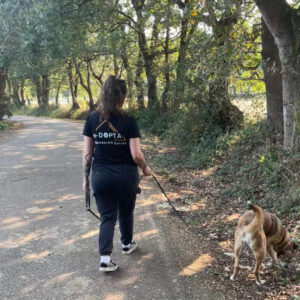 TALLER "Paseos tranquilos junto a tu perr@" Asturias