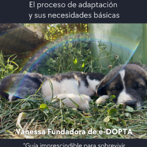 ebook CACHORR@S el proceso de adaptación y sus necesidades básicas